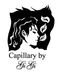 CAPILLARY BY GIGI logo