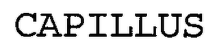 CAPILLUS logo