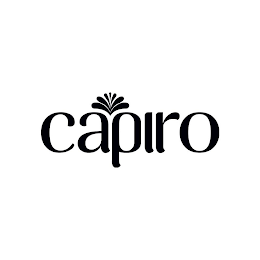 CAPIRO logo