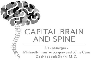 CAPITAL BRAIN AND SPINE NEUROSURGERY MINIMALLY INVASIVE SURGERY AND SPINE CARE DESHDEEPAK SAHNI M.D. logo