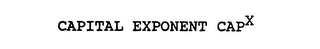 CAPITAL EXPONENT CAPX logo