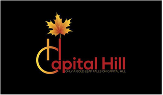 CAPITAL HILL ONLY A GOLD LEAF FALLS ON CAPITAL HILL logo