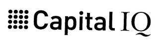 CAPITAL IQ logo