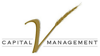 CAPITAL MANAGEMENT logo