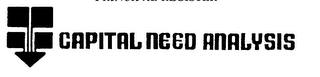 CAPITAL NEED ANALYSIS logo