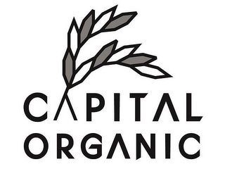 CAPITAL ORGANIC logo
