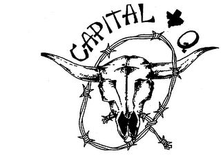 CAPITAL Q logo