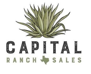 CAPITAL RANCH SALES logo