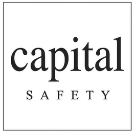 CAPITAL SAFETY logo