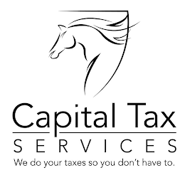 CAPITAL TAX SERVICES WE DO YOUR TAXES SO YOU DON'T HAVE TO. logo