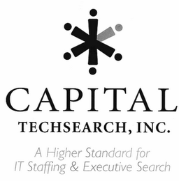 CAPITAL TECHSEARCH, INC. A HIGHER STANDARD FOR IT STAFFING & EXECUTIVE SEARCH logo