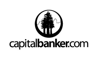 CAPITALBANKER.COM logo