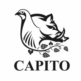 CAPITO logo