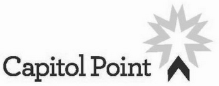CAPITOL POINT logo