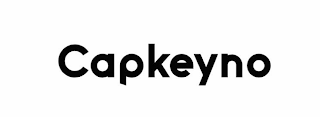 CAPKEYNO logo