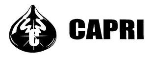 CAPRI logo