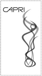 CAPRI logo