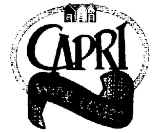 CAPRI WINE COOLER logo