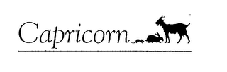 CAPRICORN logo