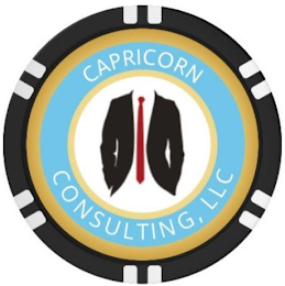 CAPRICORN CONSULTING, LLC logo