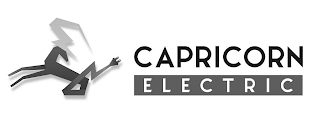 CAPRICORN ELECTRIC logo
