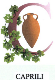 CAPRILI C logo