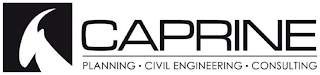 CAPRINE PLANNING CIVIL ENGINEERING CONSULTING logo