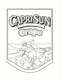 CAPRISUN GRAPE DRINK logo