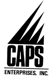CAPS ENTERPRISES, INC. logo