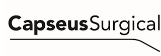 CAPSEUS SURGICAL logo