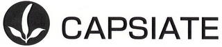 CAPSIATE logo