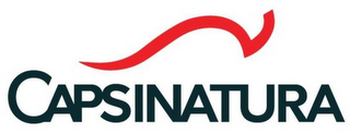 CAPSINATURA logo