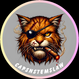 CAPSNSTEMSLAW logo