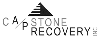 CAPSTONE RECOVERY INC logo