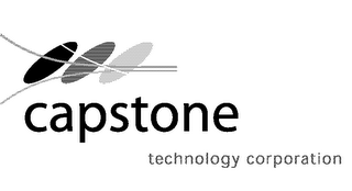 CAPSTONE TECHNOLOGY CORPORATION logo