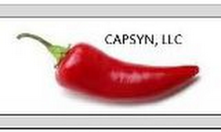 CAPSYN, LLC logo