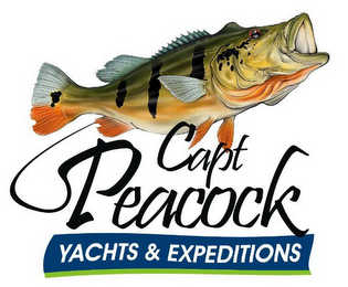 CAPT. PEACOCK YACHTS & EXPEDITIONS logo