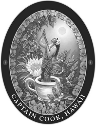 CAPTAIN COOK, HAWAII logo
