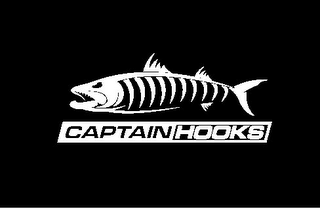 CAPTAIN HOOKS logo