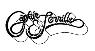 CAPTAIN & TENNILLE logo