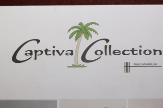 CAPTIVA COLLECTION BAILEY INDUSTRIES, INC. logo