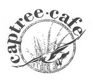 CAPTREE CAFE logo