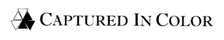 CAPTURED IN COLOR logo