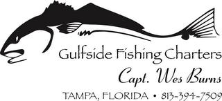 CAPT.WES BURNS GULFSIDE FISHING CHARTERS TAMPA,FL 8133947509 logo