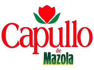 CAPULLO DE MAZOLA logo