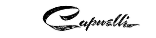 CAPWELL'S logo