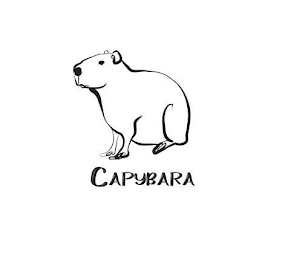 CAPYBARA logo