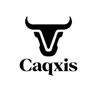 CAQXIS logo