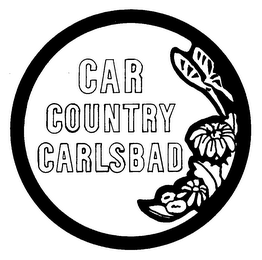 CAR COUNTRY CARLSBAD