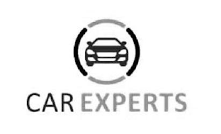 CAR EXPERTS logo